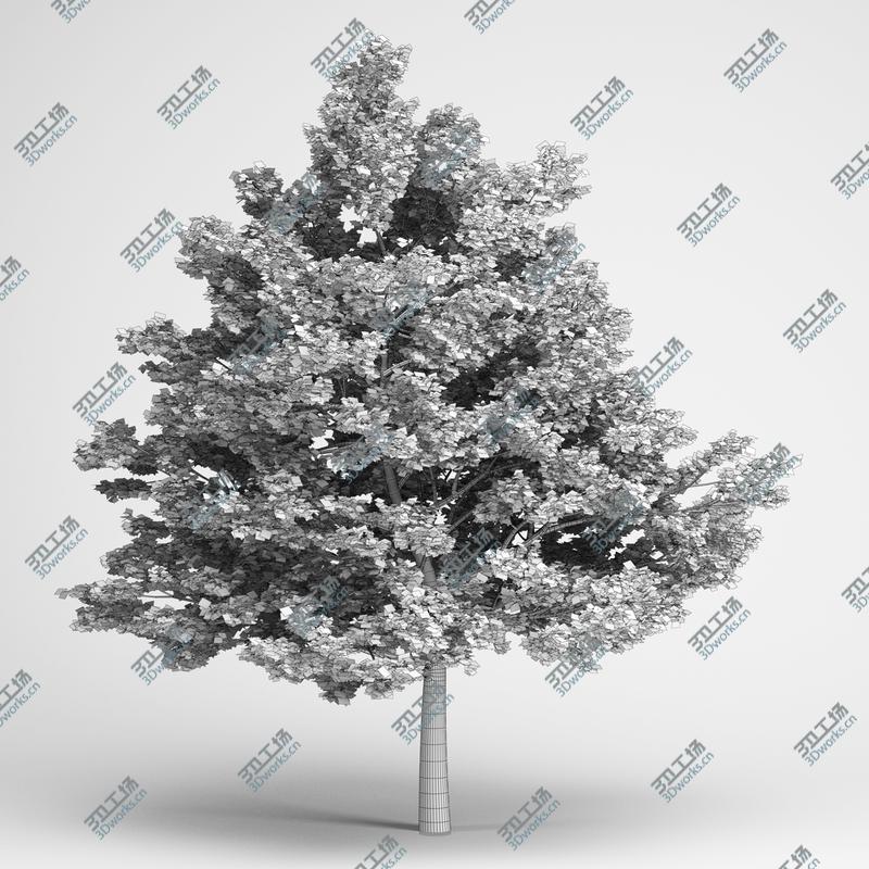 images/goods_img/202104091/CGAxis Models Volume 14 Trees II/3.jpg
